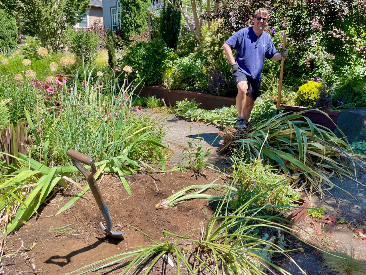 removing phormium tricolor