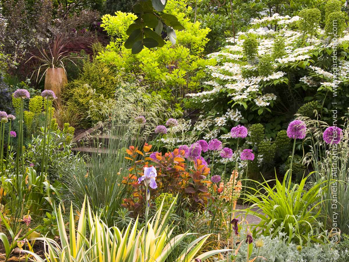 My Front Garden 2008